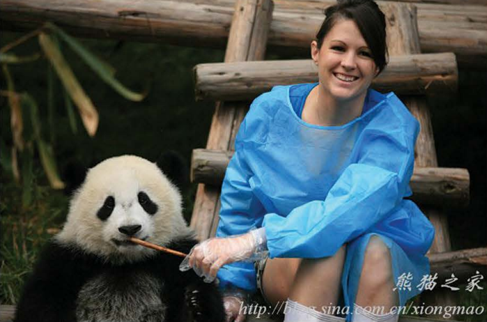 PE Film Laminated Non-woven